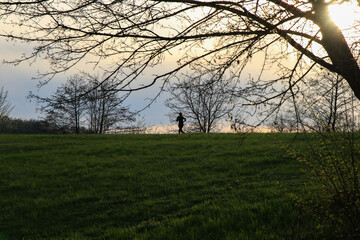 Silhouettes Walking on Idyllic Country Road Near Danube Lake at Beautiful Regensburg Sunset