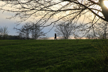 Silhouettes Walking on Idyllic Country Road Near Danube Lake at Beautiful Regensburg Sunset