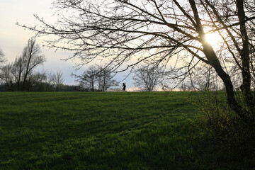 Silhouettes Walking on Idyllic Country Road Near Danube Lake at Beautiful Regensburg Sunset