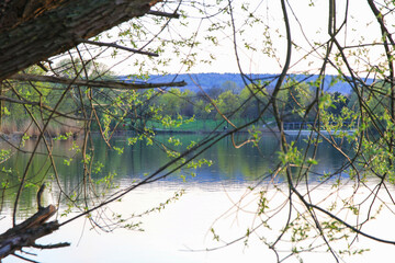 Peaceful Spring Walk Along Idyllic Country Road Near Danube Lake in Regensburg