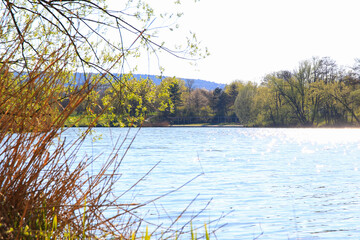 Peaceful Spring Walk Along Idyllic Country Road Near Danube Lake in Regensburg