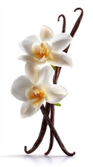 White Orchids And Vanilla Pods On White Background