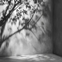 Silhouette Tree Shadows On Gray Concrete Wall