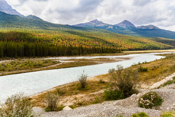 The Athabasca River along the Icefields Parkway on a summer day. Jasper National Park, Alberta,...