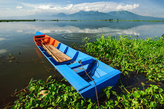 View of a vibrant blue and orange boat resting amidst the lush green water plants of Rawa Pening Lake under a sky mirroring in the tranquil water, Ambarawa, Central Java, Indonesia.