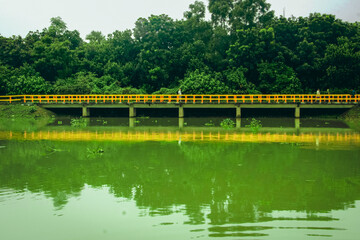 Concrete Bridge with Red Railings Over a Murky River, Yellow Bridge Reflected in Green Water with Lush Trees. Scenic concrete bridge with bright yellow railings crossing a calm green river