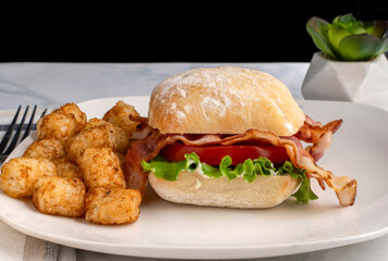 blt sandwich  served with tater tots
