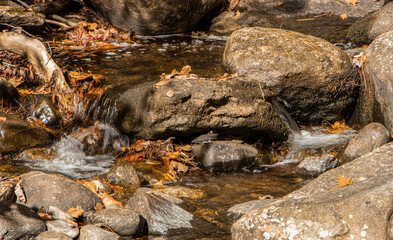 fall along willard brook