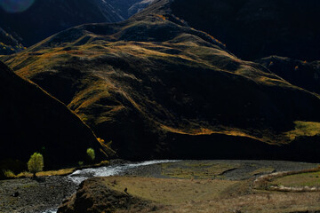 mountains in the night