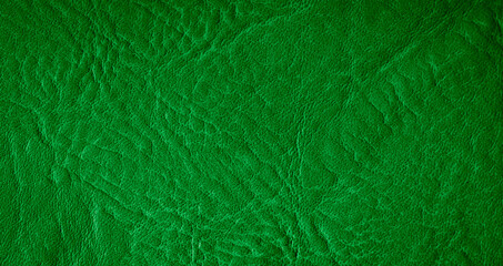 green natural leather with an interesting texture