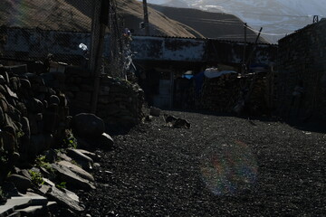 old abandoned factory