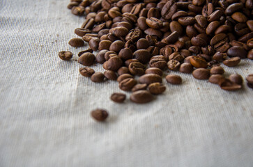 Gourmet Roasted Coffee Beans Scattered on White Canvas Fabric Background