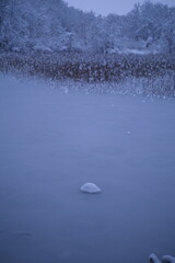 frozen lake in winter