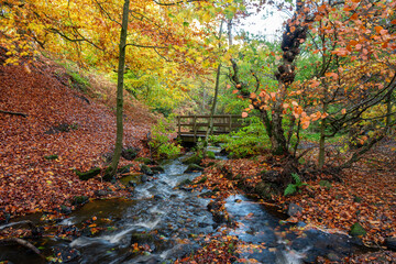 Small waterfall cascades running through a moss covered rocky ravine during autumn at Wyming Brook Nature Reserve in the Derbyshire, Peak District National Park.