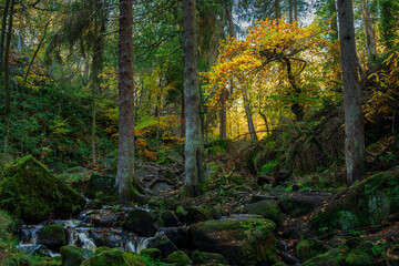 Autumn woodland and cascading water at Wyming Brook in the Derbyshire, Peak District National Park.