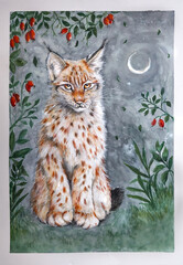 mini Eurasian lynx - kleiner Luchs