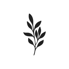 black silhouette of botanical leaf
