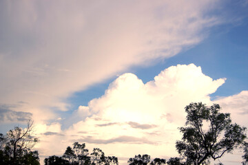 Majestic Clouds and Silhouetted Trees Against a Blue Sky.  Dramatic Sky with Warmly Lit Clouds and Tree Silhouettes.