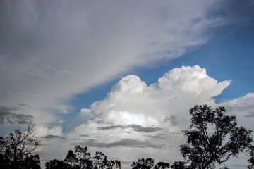 Majestic Clouds and Silhouetted Trees Against a Blue Sky.  Dramatic Sky with Warmly Lit Clouds and Tree Silhouettes.