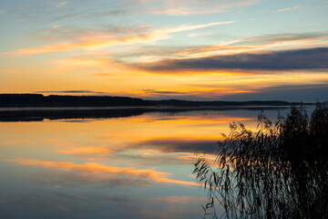 A beautiful autumn sunrise scenery with reeds growing in a lake. Morning landscape of Riga, Latvia.