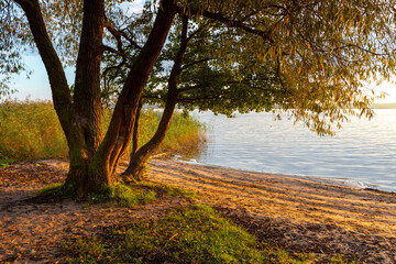 Naklejka premium Beautiful sunny autumn morning at a shore of a lake with trees. Bright, colorful landscape of Latvia.