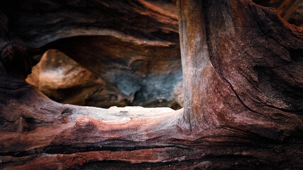 Close-up of Natural Wood Texture with Rich Earthy Tones