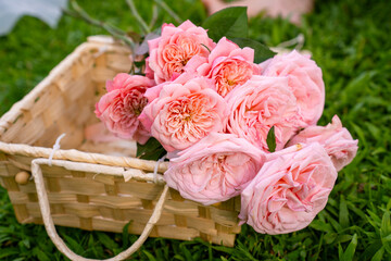 Close-up of pink garden roses in wicker basket
