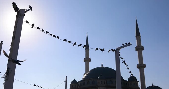 Istanbul, Taksim Square: pigeons perch on a wire above the new mosque, framed by minarets and street poles. Backlit silhouettes against a clear blue sky evoke calm, pause, and urban spirituality.