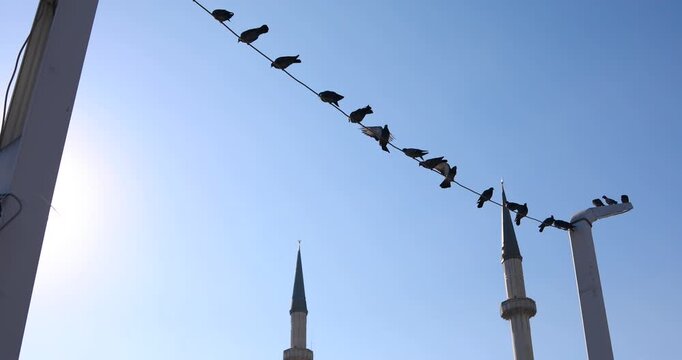 Istanbul, Taksim Square: pigeons perch on a wire above the new mosque, framed by minarets and street poles. Backlit silhouettes against a clear blue sky evoke calm, pause, and urban spirituality.