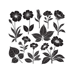 Collection of elegant black and white  flower and leaf  silhouettes .