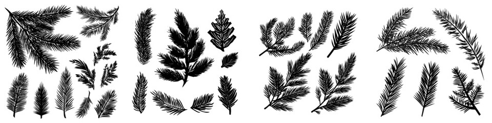 A collection of green pine tree branches isolated on white features evergreen needles and conifer spruce twigs suitable for Christmas decoration, along with forest botanical elements and realistic
