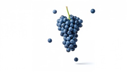 Naklejka premium Blue grapes floating against a white background with berries falling from the cluster. Packaging design element with clipping path.