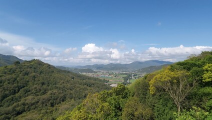 Springtime landscape in Jeju, Korea, showcasing seasonal change