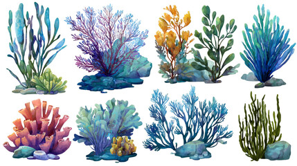 Vibrant underwater coral reef marine life assortment for aquarium decor