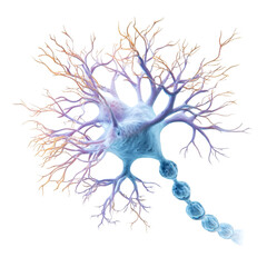 Detailed neural network cell with axon and dendrites science biology art