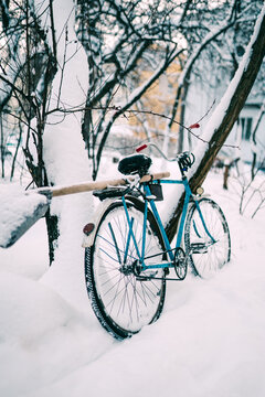 A blue bicycle rests against a snow-covered tree in a calm residential yard, with fresh snow and bare branches. Soft background houses complete a peaceful, wintry outdoor scene.