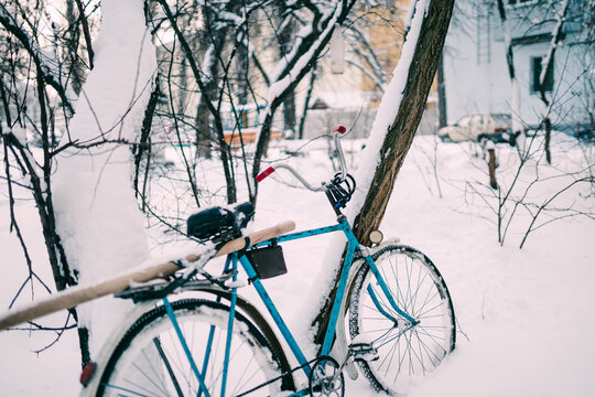 A blue bicycle rests against a snow-covered tree in a calm residential yard, with fresh snow and bare branches. Soft background houses complete a peaceful, wintry outdoor scene.