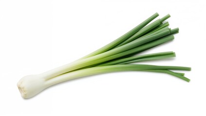 Isolated fresh bunching onion on a white backdrop with clipping path.