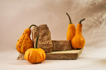 Autumn empty podium with decorative pumpkins
