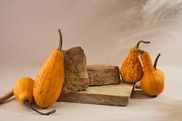 Autumn empty podium with decorative pumpkins