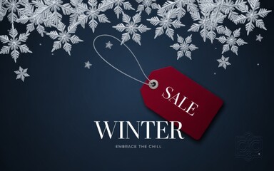 Winter Offer Banner