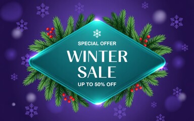 Elegant Winter Banner