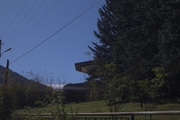 Abandoned Soviet Building Among Pine Trees