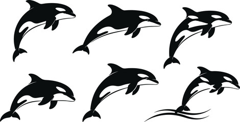 Obraz premium Orca dolphin silhouette sequence, killer whale jumping motion, marine wildlife vector art, ocean animal illustration, aquatic mammal design, flat vector illustration