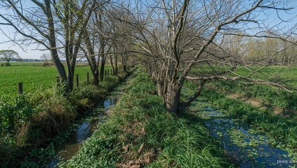 Indigenous trees grown near water bodies and farm boundaries offer shelter and rest spots for birds and insects, while protecting waterways from livestock and contamination