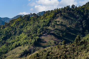 Mountain Serenity, Gentle sunlight paints mountain slopes covered in lush green forest. A tranquil view of untouched nature at Chiang Rai Province, Thailand.