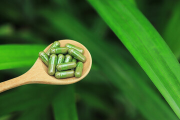 Herbal capsules from green pandan leaf herbal on hand for healthy eating in daily life