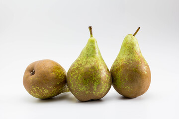 Peras tipo conferencia