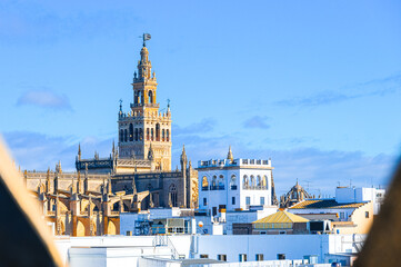 Cityscape including the medieval cathedral of Seville, Spain