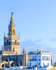 Cityscape including the medieval cathedral of Seville, Spain